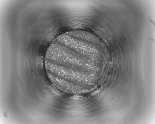 X0000093170664200710241041