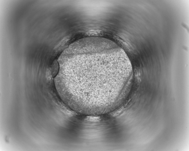 X0000093170665200710241041