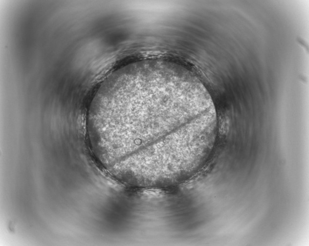 X0000093170666200710241041