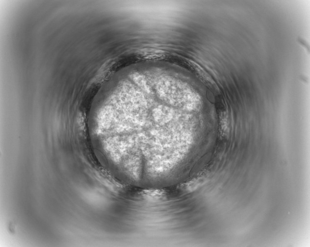 X0000093170667200710241041