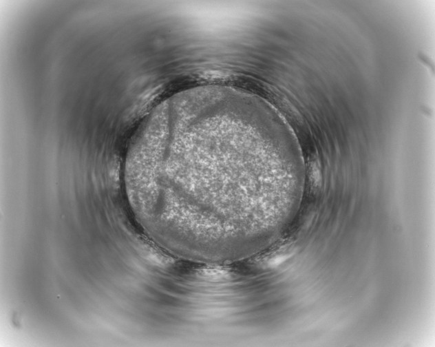 X0000093170668200710241041