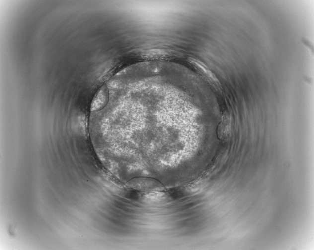 X0000093170669200710241041