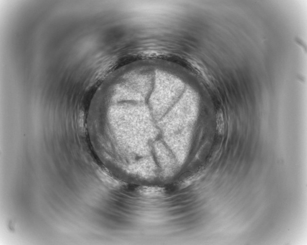 X0000093170670200710241041