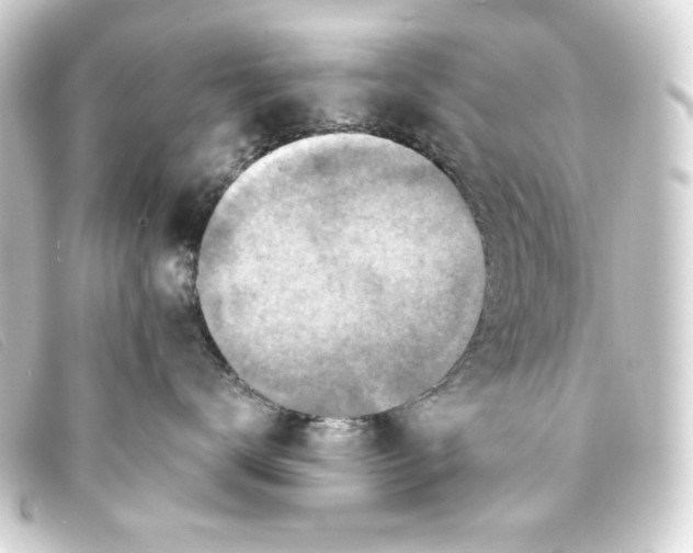 X0000093170672200710241041