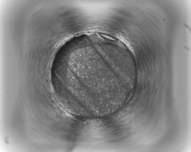 X0000093170673200710241040