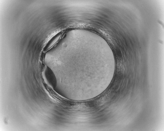 X0000093170674200710241040