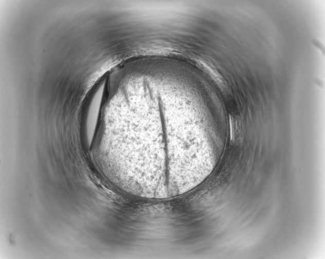 X0000093170675200710241040