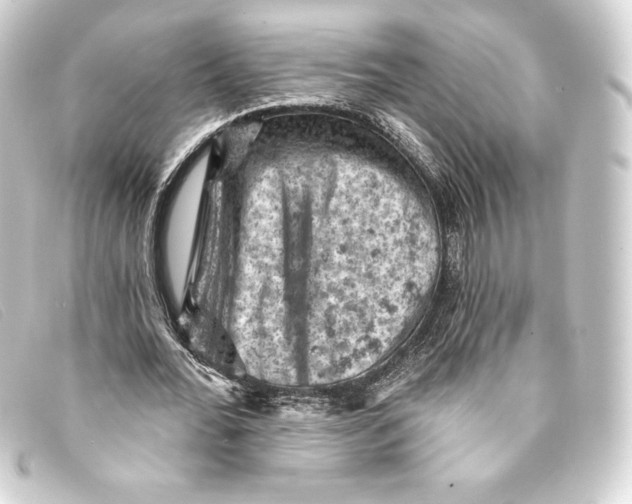 X0000093170676200710241040