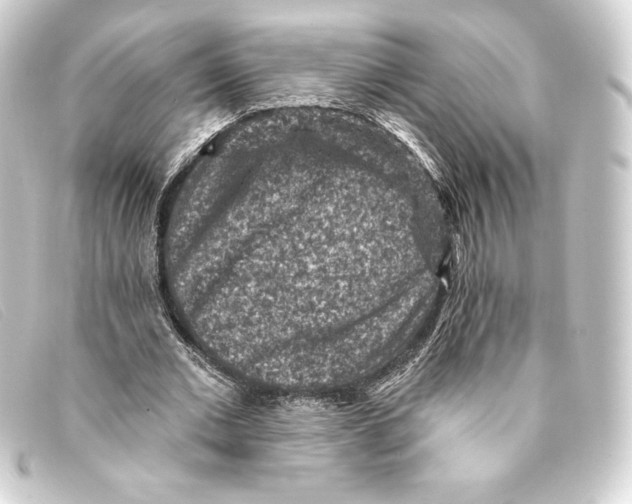 X0000093170677200710241040