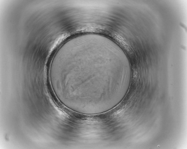 X0000093170678200710241040