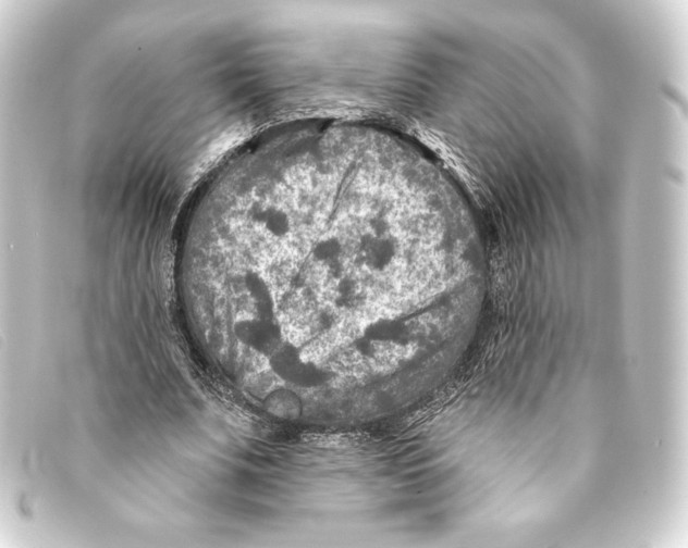 X0000093170679200710241040