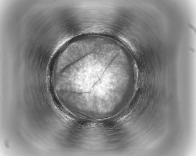 X0000093170680200710241040