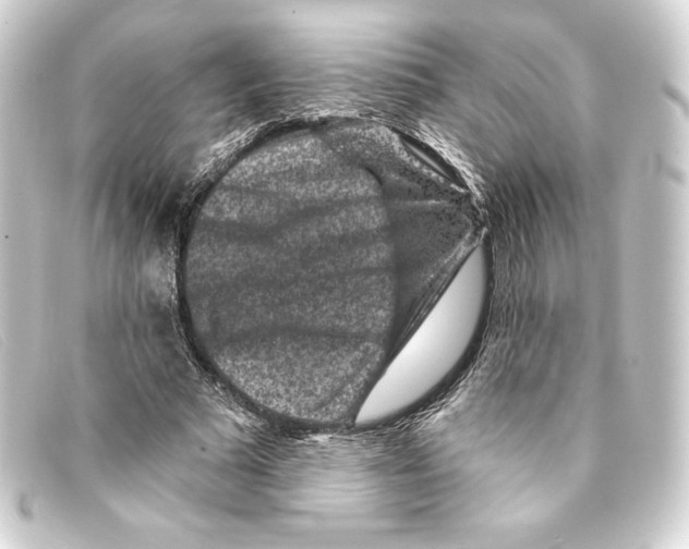 X0000093170681200710241040