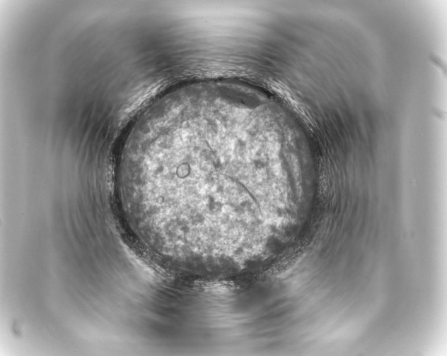 X0000093170683200710241040