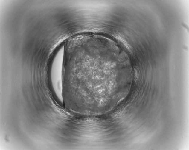 X0000093170684200710241040