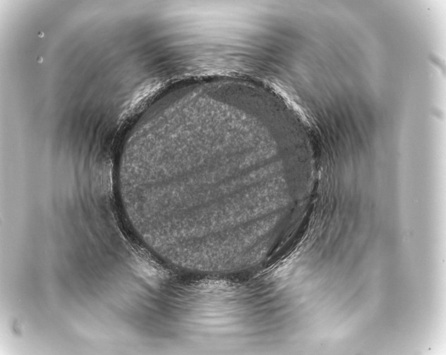 X0000093170685200710241040