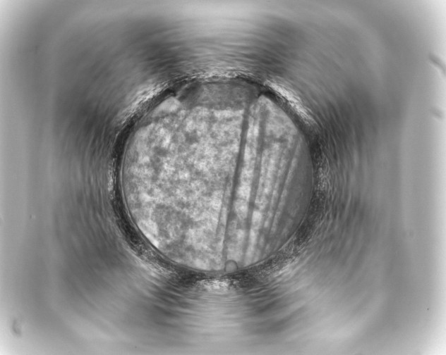 X0000093170687200710241040