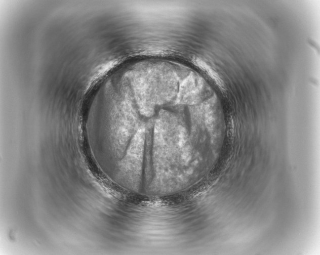 X0000093170688200710241040