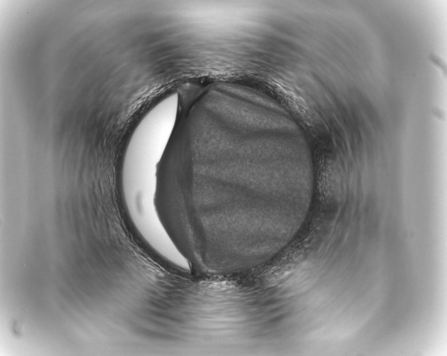 X0000093170689200710241040