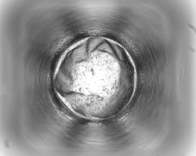 X0000093170690200710241040