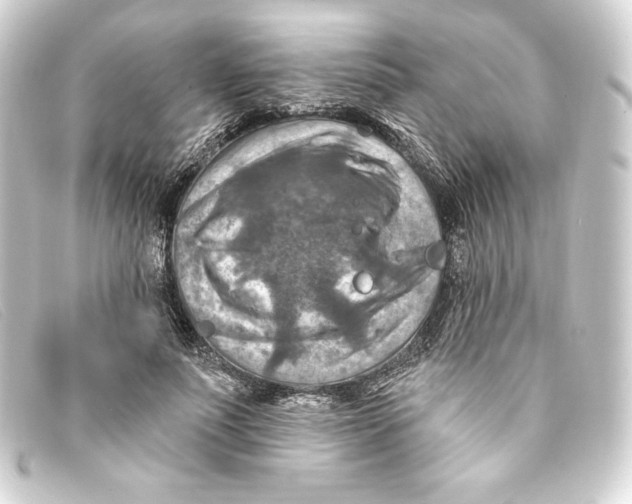 X0000093170691200710241040