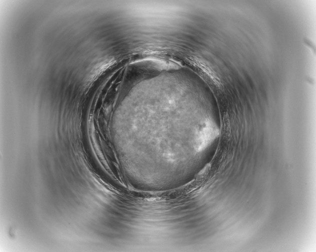 X0000093170692200710241040