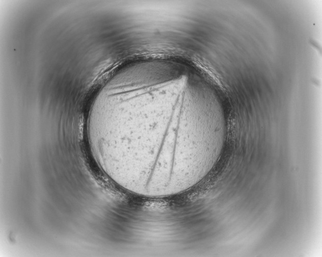 X0000093170694200710241040