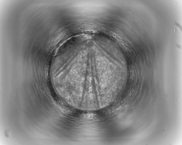 X0000093170695200710241040