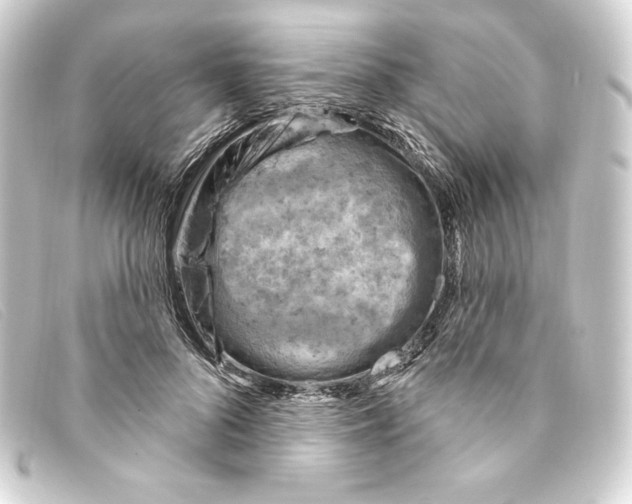 X0000093170696200710241040