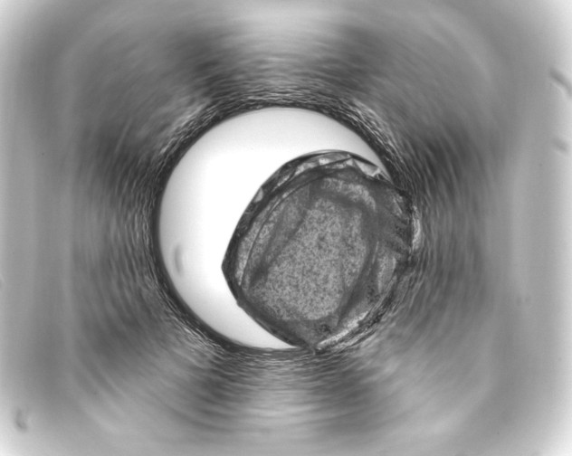 X0000093170697200710241040