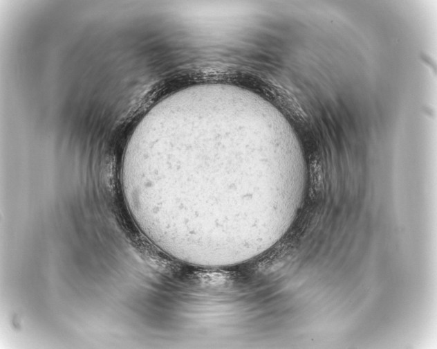 X0000093170698200710241040