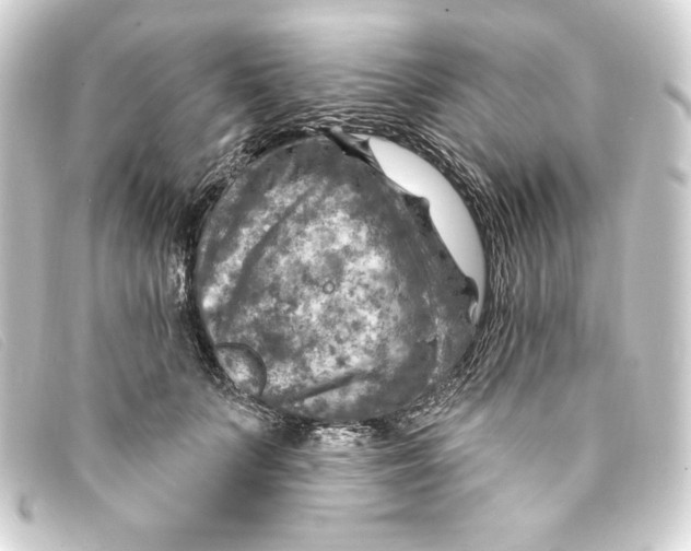 X0000093170703200710241040