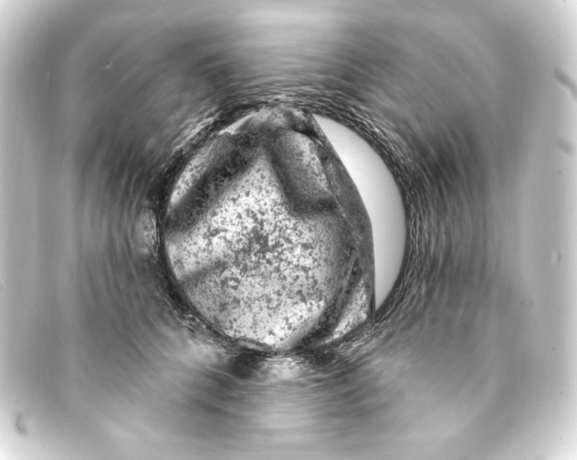 X0000093170704200710241040