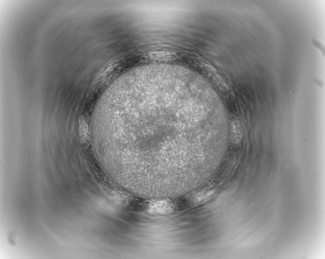 X0000093170705200710241040