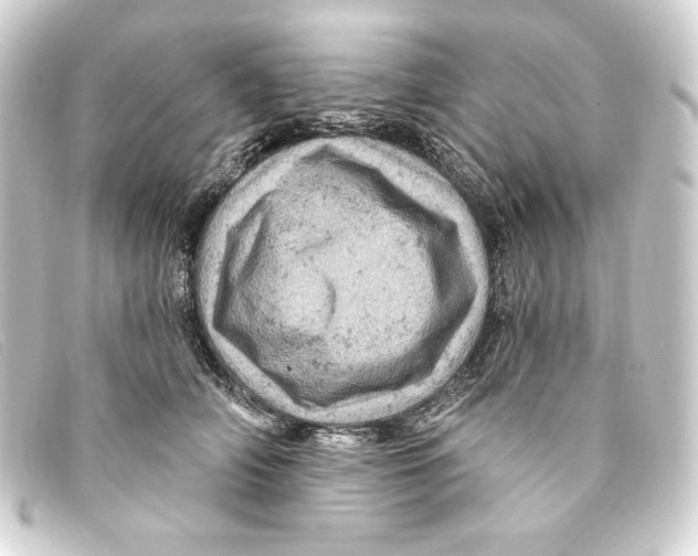 X0000093170706200710241040