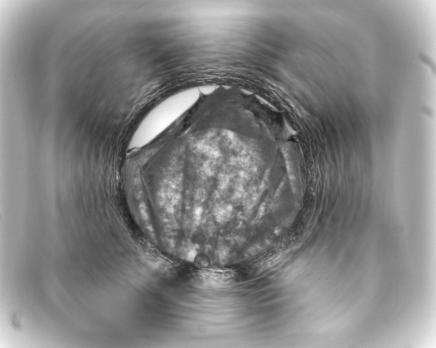 X0000093170707200710241040