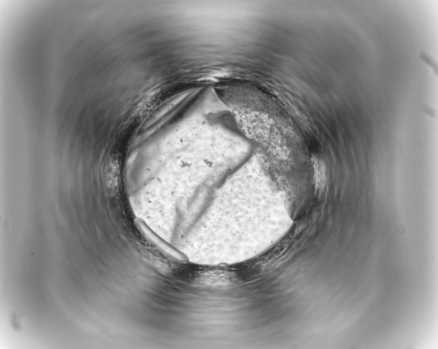 X0000093170708200710241040