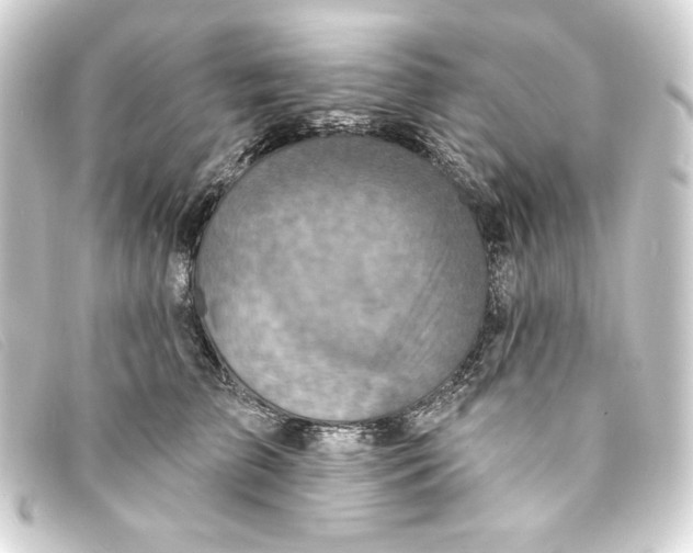 X0000093170709200710241040