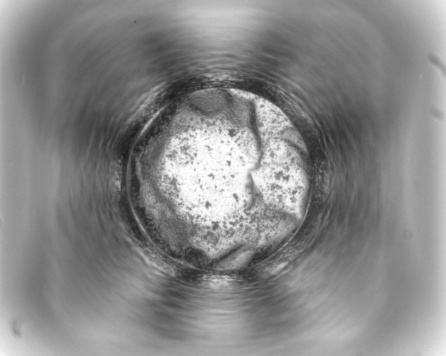 X0000093170710200710241040