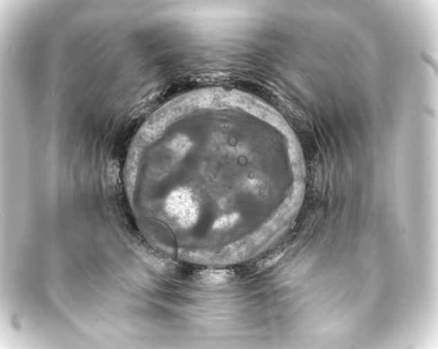 X0000093170711200710241040