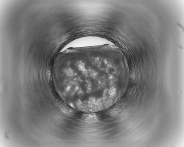 X0000093170715200710241040