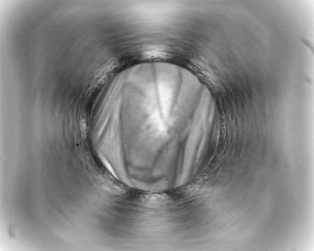 X0000093170716200710241040