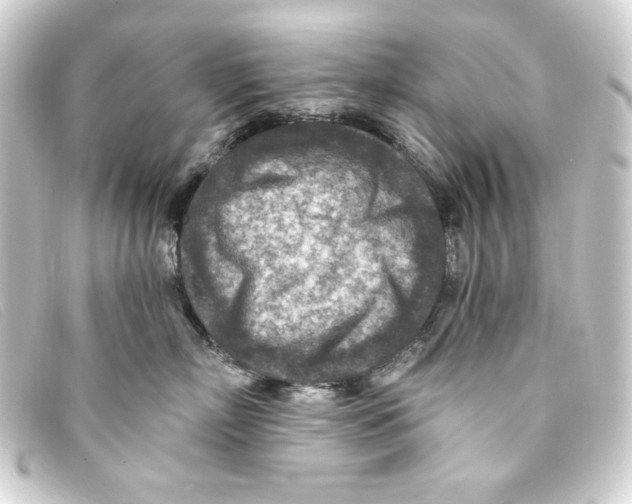 X0000093170718200710241040