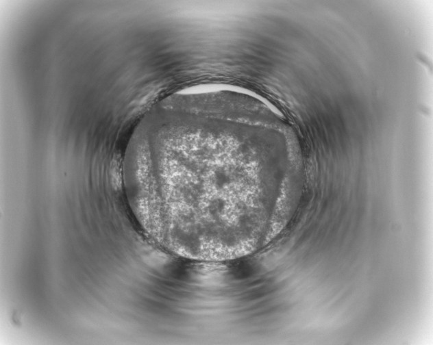 X0000093170719200710241040