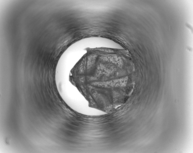 X0000093170720200710241039