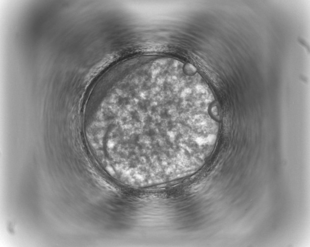 X0000093170721200710241039