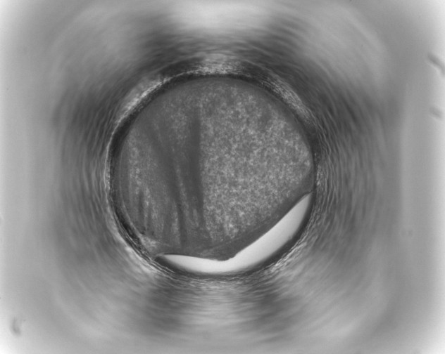 X0000093170722200710241039