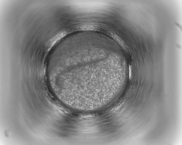 X0000093170723200710241039