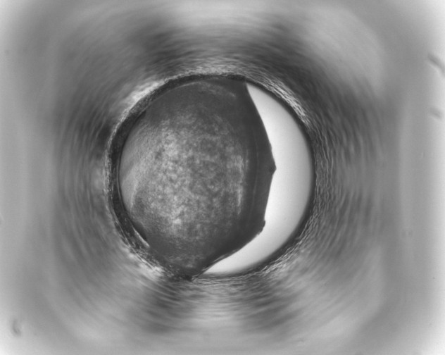 X0000093170724200710241039