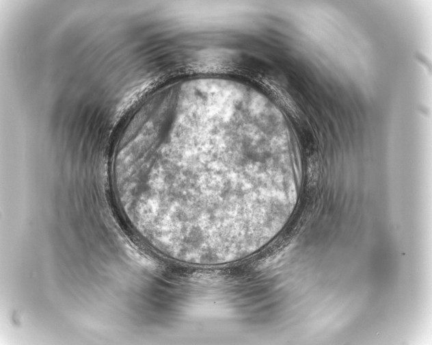 X0000093170725200710241039